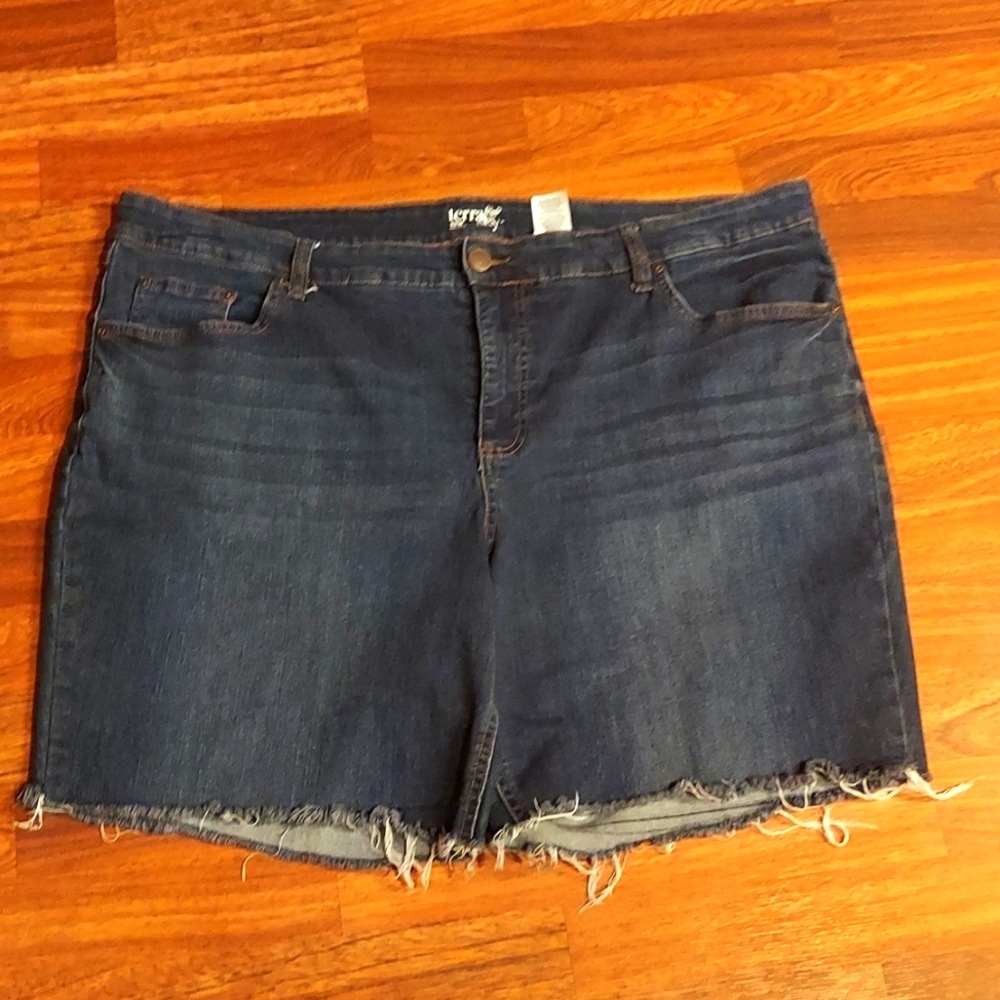 Terra & Sky Dk. Rinse Raw Hem Denim Shorts